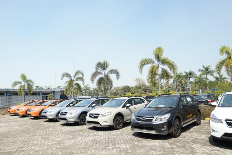 Ratusan mobil Subaru hasil sitaan dilelang oleh Bea Cukai