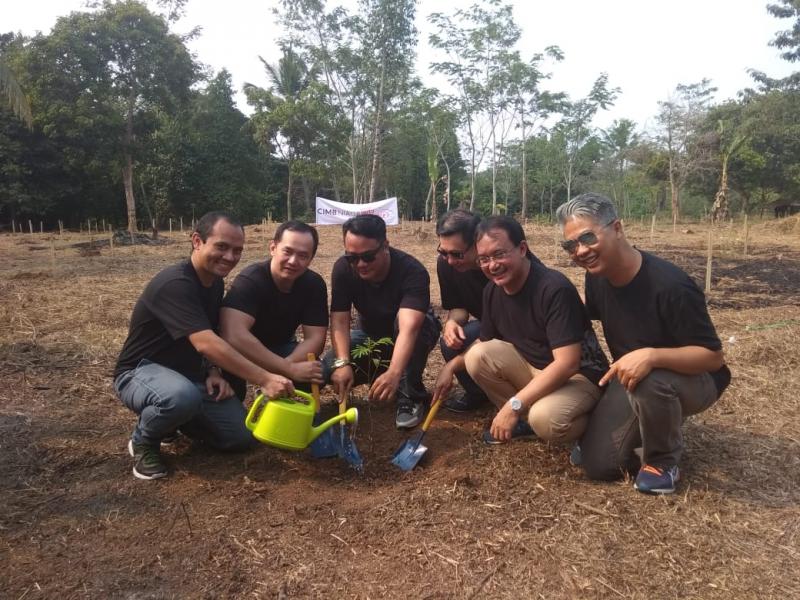 Jajaran Direksi CIMB Niaga Auto Finance melakukan penanaman simbolis 50 ribu bibit pohon sengon di Kabupaten Serang, Banten. (anto) 