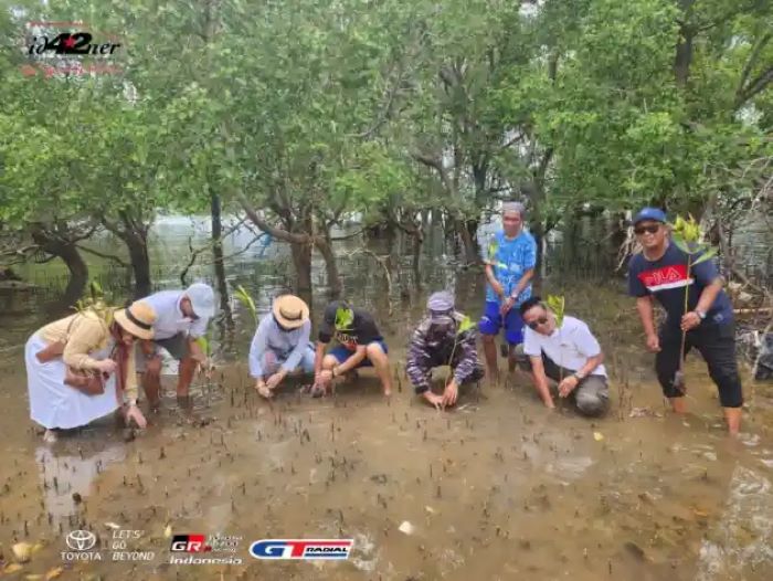 Member komunitas Pajero ID42NER tanam pohon mangrove di sebuah  pantai di Labuan Bajo