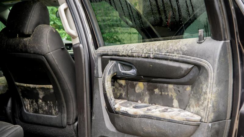 Ilustrasi Mobil Terendam Banjir (Foto: Wuling)