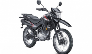 Tak Pernah Rewel Honda XR 150L 2025 Tampil Lebih Sangar, Siap Taklukkan Alam Bebas