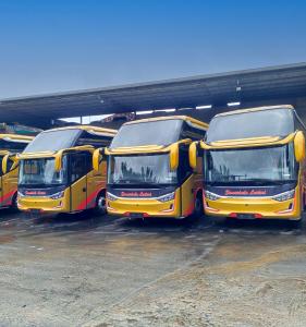 Dukung Transportasi di Kalimantan Timur, Hino Serahkan Enam Bus ke PO Pulau Indah Motor