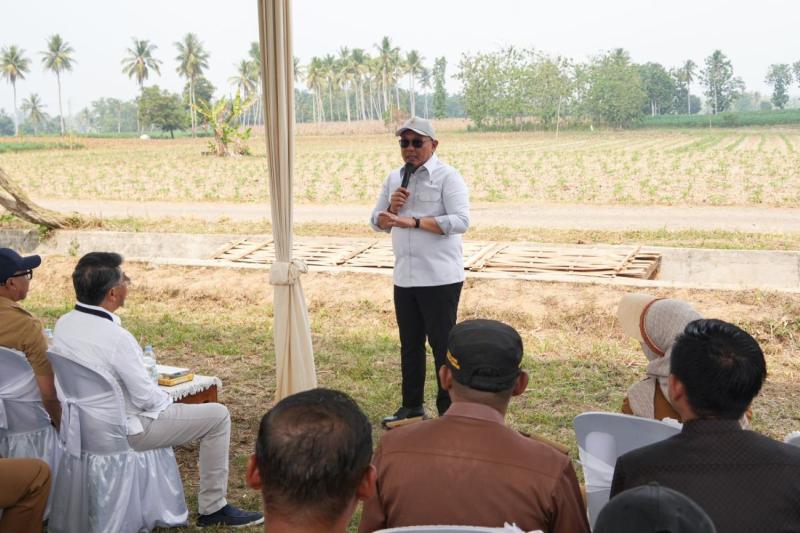 Wakil Menteri Investasi dan Hilirisasi/Wakil Kepala BKPM Todotua Pasaribu dalam kunjungan kerja ke Provinsi Lampung, Selasa (9/6/2026). ANTARA/HO-BKPM