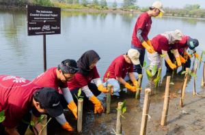 Perkuat Ekosistem Pesisir, Suzuki Kembali Tanam 1.500 Bibit Mangrove Di Pangandaran