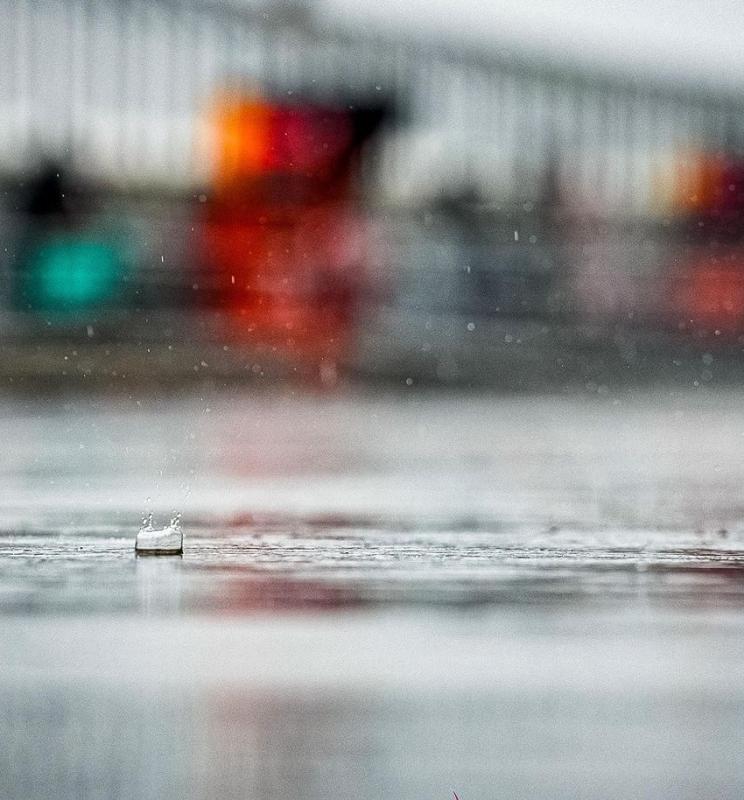 Jarak pandang di Philip Island yang sangat buruk. (Foto: motogp)